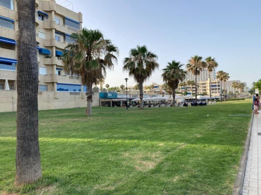 Appartement Playamar